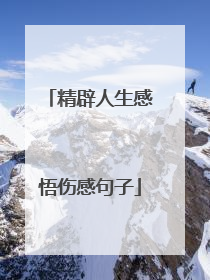 精辟人生感悟伤感句子