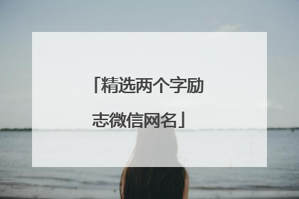 精选两个字励志微信网名