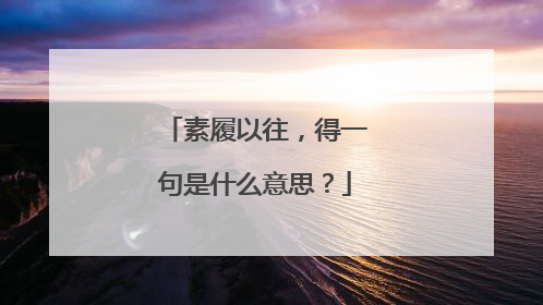 素履以往，得一句是什么意思？