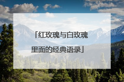 红玫瑰与白玫瑰里面的经典语录
