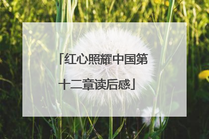 红心照耀中国第十二章读后感
