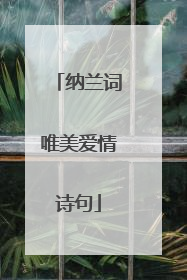纳兰词唯美爱情诗句