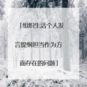 组织生活个人发言提纲担当作为方面存在的问题