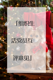 组织生活党员互评意见