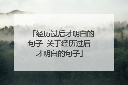 经历过后才明白的句子 关于经历过后才明白的句子