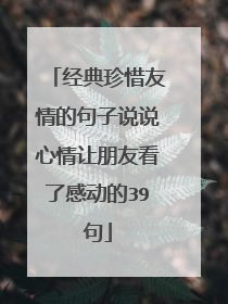 经典珍惜友情的句子说说心情让朋友看了感动的39句