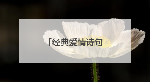 经典爱情诗句。越多越好。