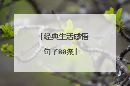 经典生活感悟句子80条