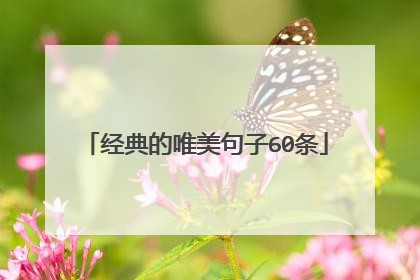 经典的唯美句子60条