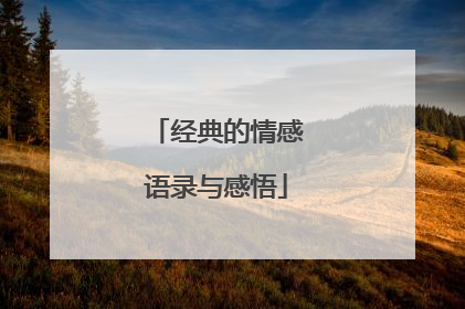 经典的情感语录与感悟