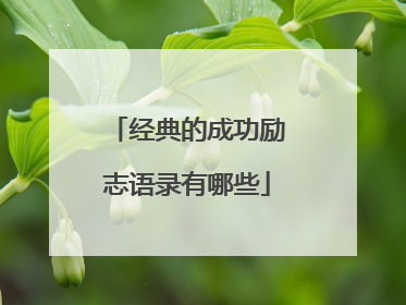 经典的成功励志语录有哪些