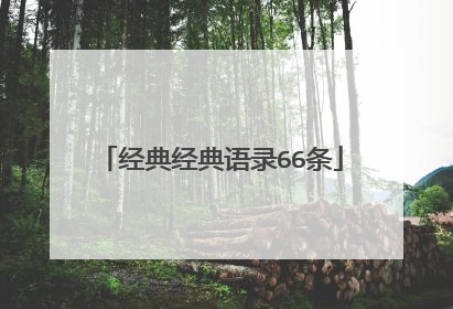 经典经典语录66条
