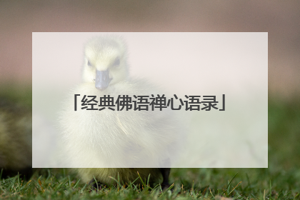 经典佛语禅心语录