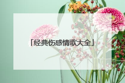 经典伤感情歌大全