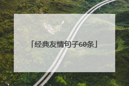 经典友情句子60条