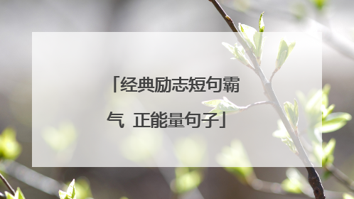 经典励志短句霸气 正能量句子