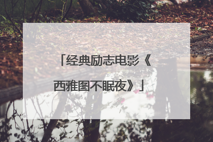 经典励志电影《西雅图不眠夜》