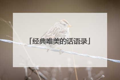 经典唯美的话语录