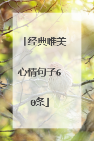 经典唯美心情句子60条