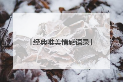 经典唯美情感语录