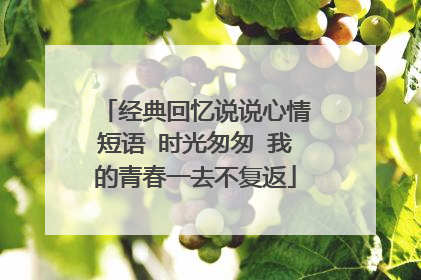 经典回忆说说心情短语 时光匆匆 我的青春一去不复返