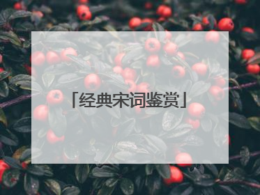 经典宋词鉴赏