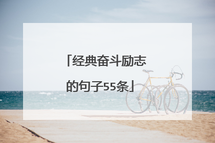 经典奋斗励志的句子55条