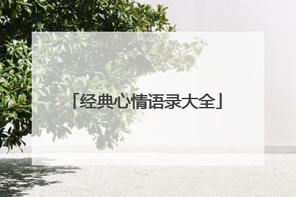 经典心情语录大全