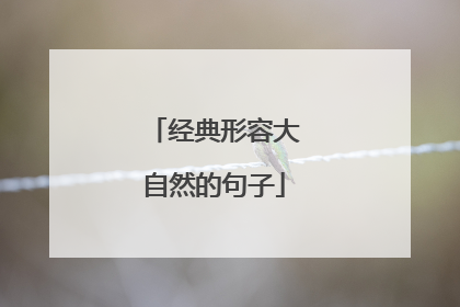 经典形容大自然的句子