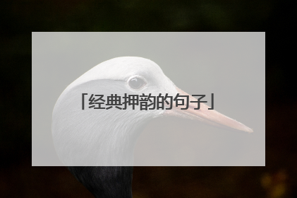 经典押韵的句子