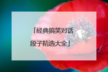 经典搞笑对话段子精选大全