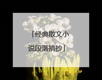 经典散文小说段落摘抄