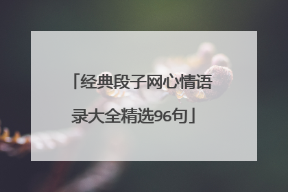 经典段子网心情语录大全精选96句