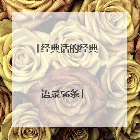 经典话的经典语录56条