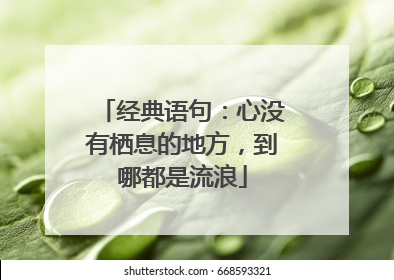 经典语句:心没有栖息的地方,到哪都是流浪