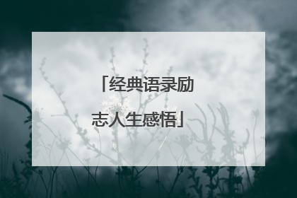 经典语录励志人生感悟