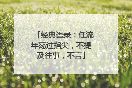 经典语录：任流年荡过指尖，不提及往事，不言