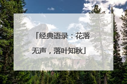 经典语录：花落无声，落叶知秋