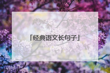 经典语文长句子