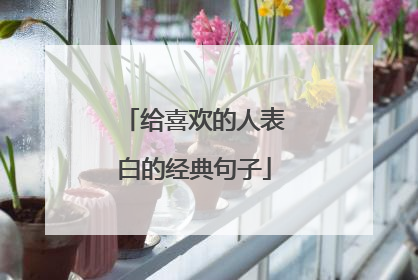 给喜欢的人表白的经典句子