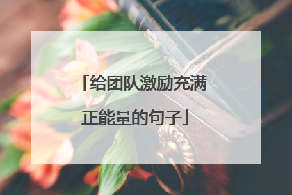 给团队激励充满正能量的句子