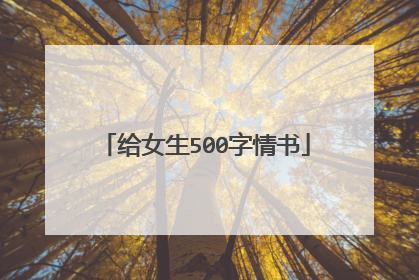 给女生500字情书