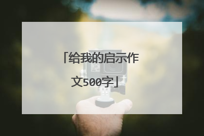 给我的启示作文500字