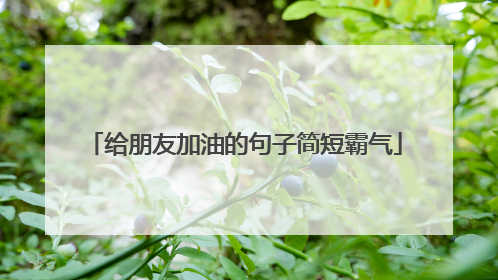 给朋友加油的句子简短霸气