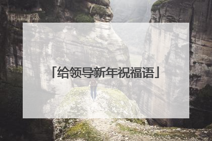 给领导新年祝福语