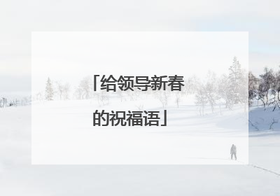 给领导新春的祝福语