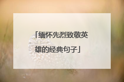 缅怀先烈致敬英雄的经典句子