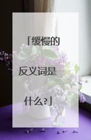 缓慢的反义词是什么?