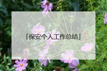 保安个人工作总结