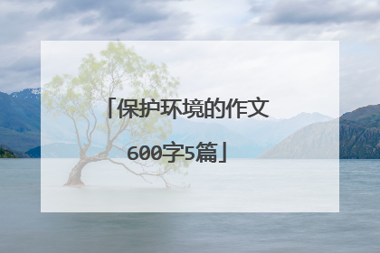 保护环境的作文600字5篇